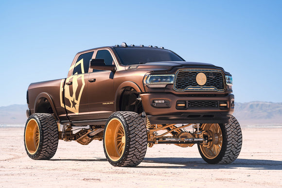 Predator - 33/12.5R20 114Q 10PLY Mud Terrain