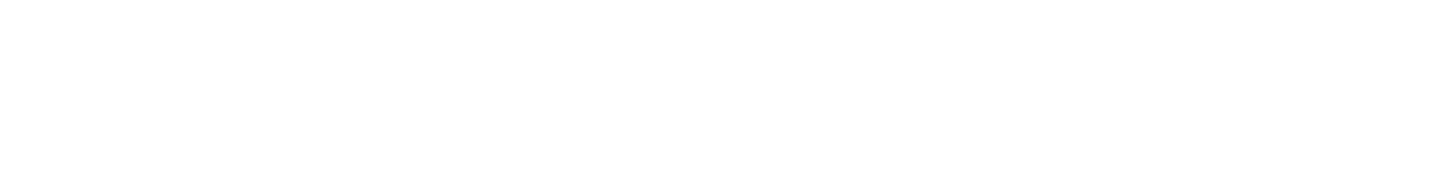 Joyroad-W