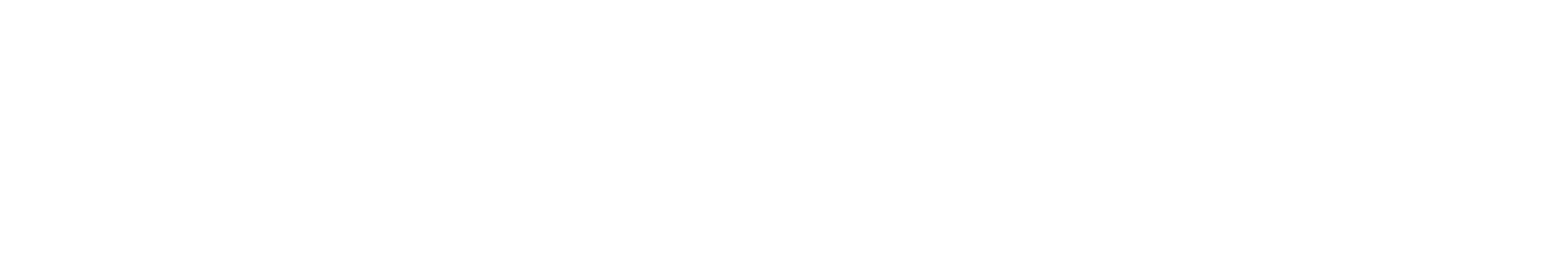 Michelin-W