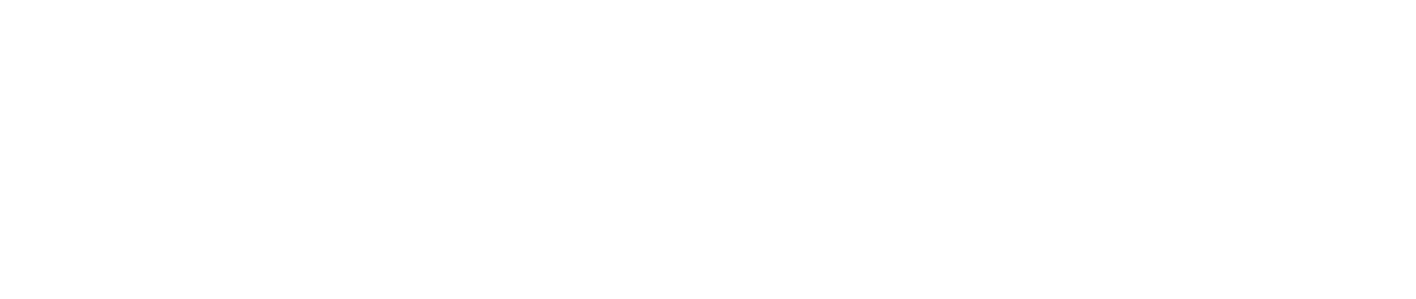 Pirelli-W